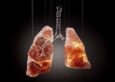 How Your Lungs Work and Why Clean Air Matters for Your Health